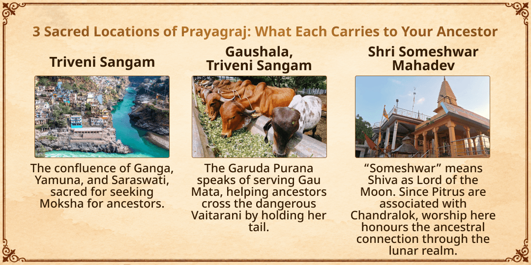 Pitru Paksha Pratipada Triveni Sangam Sampoorna Pitru Shanti Seva 