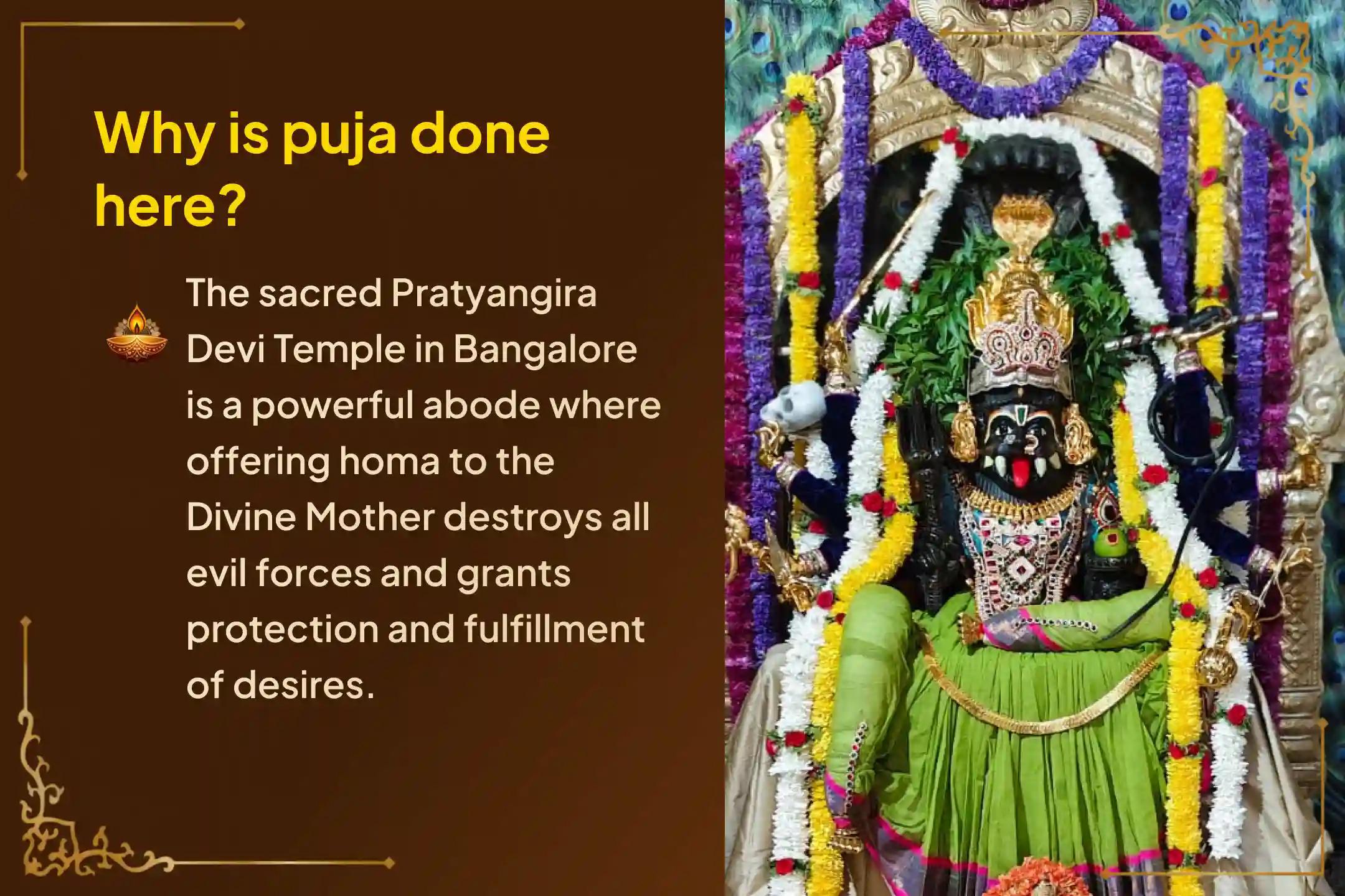 Participate in the 'Savita Gayatri Prayaschitta Homa' at Pratyangira Temple to seek purification from knowingly or unknowingly committed errors, ritual omissions, and lapses in daily prayers or nitya-karma.