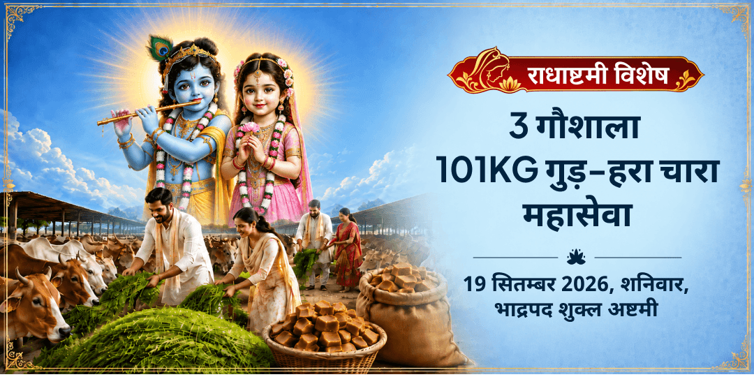 राधाष्टमी विशेष 3 गौशाला 101KG गुड़-हरा चारा महासेवा
