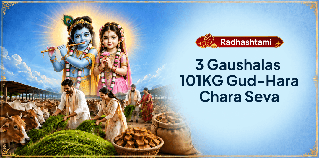 On Radhashtami, perform 101KG Gud-Hara Chara Mahaseva at 3 Sacred Gaushalas across India - Participate Now!