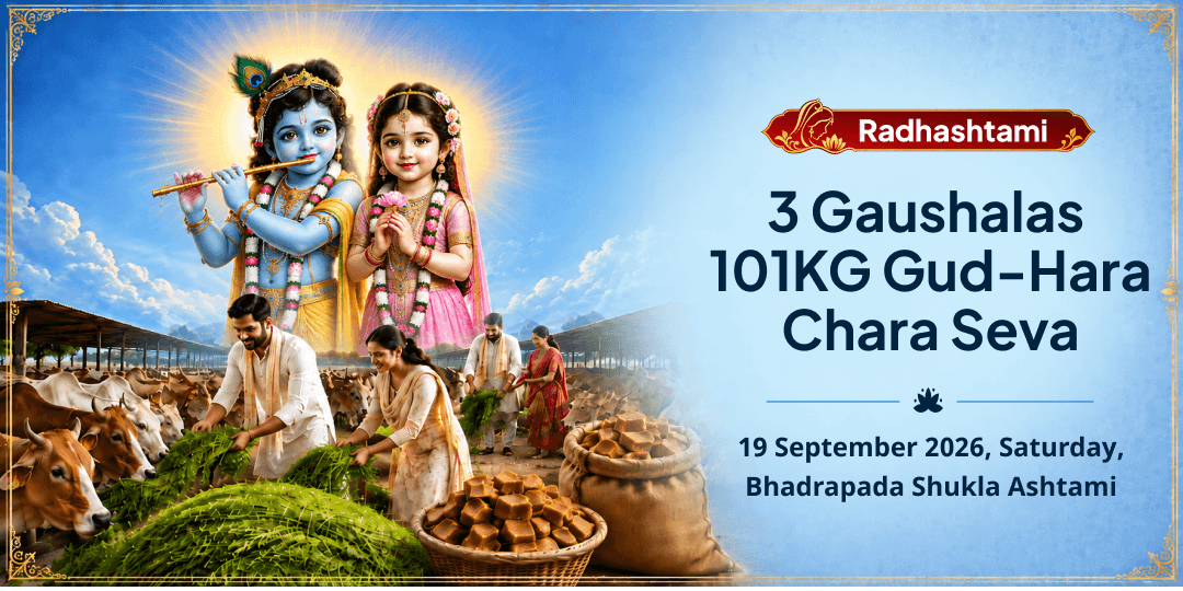 Radhashtami Special 3 Gaushalas 101KG Gud-Hara Chara Seva 