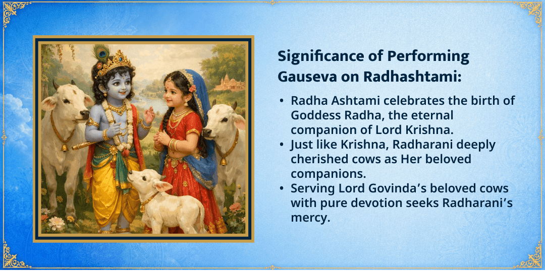 Radhashtami Special 3 Gaushalas 101KG Gud-Hara Chara Seva 