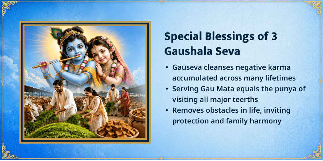 Radhashtami Special 3 Gaushalas 101KG Gud-Hara Chara Seva 