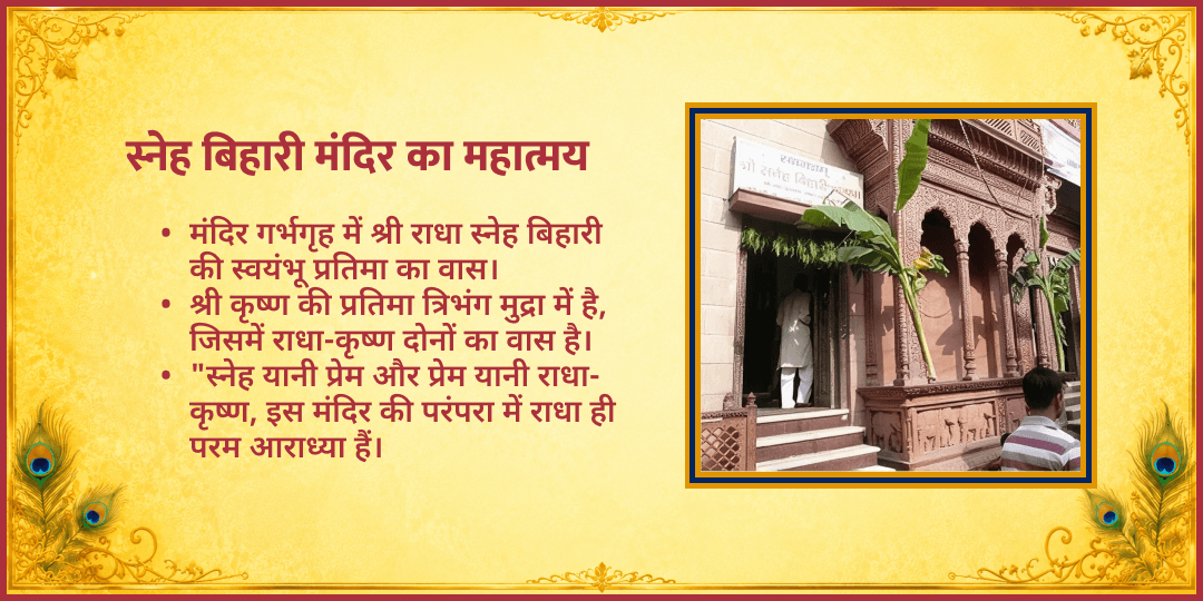राधाष्टमी विशेष श्री राधा स्नेह बिहारी जी मंदिर चढ़ावा