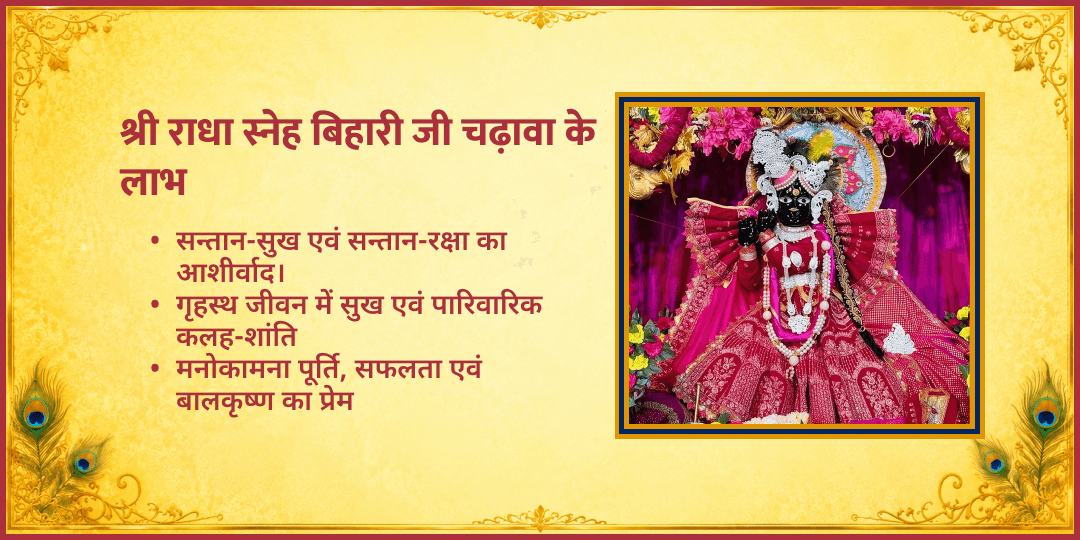 राधाष्टमी विशेष श्री राधा स्नेह बिहारी जी मंदिर चढ़ावा