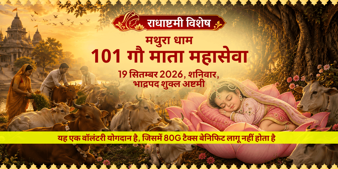 राधाष्टमी विशेष 101 गौ माता महासेवा
