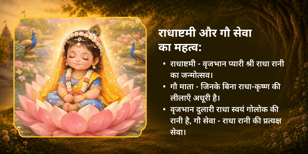 राधाष्टमी विशेष 101 गौ माता महासेवा
