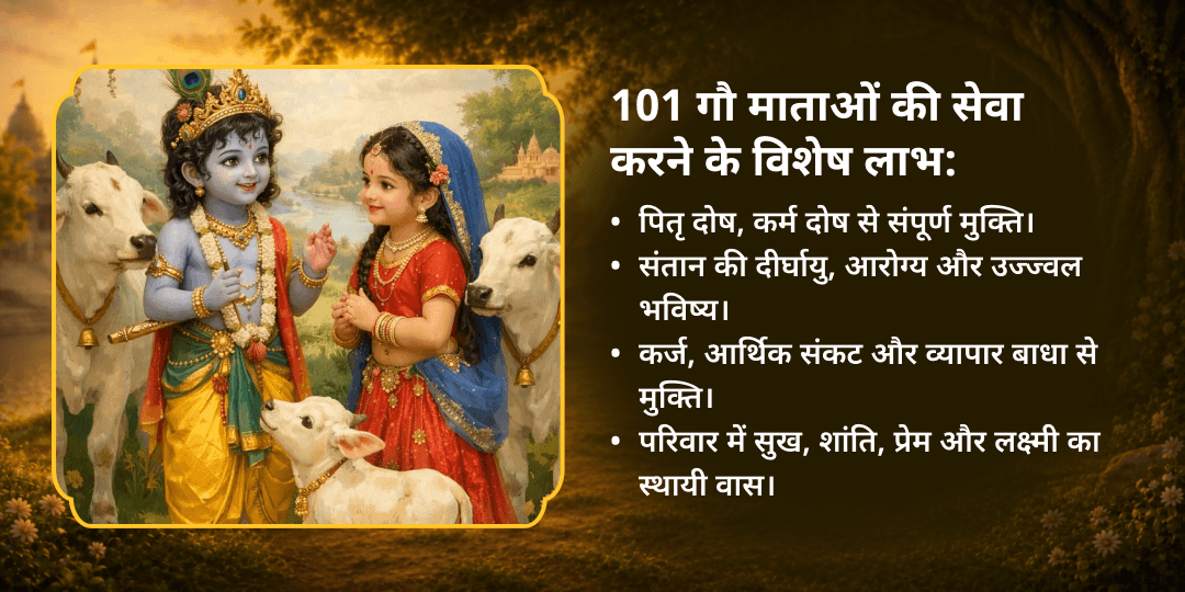 राधाष्टमी विशेष 101 गौ माता महासेवा