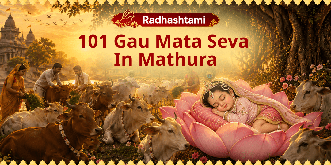 On Radhashtami, Serve 101 Gau Mata Loved by Radharani Herself in the Holy Land of Mathura! 