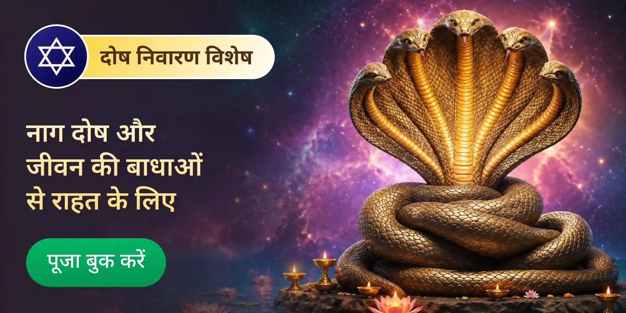नाग दोष शांति: हरिद्वार में नाग बली पूजा