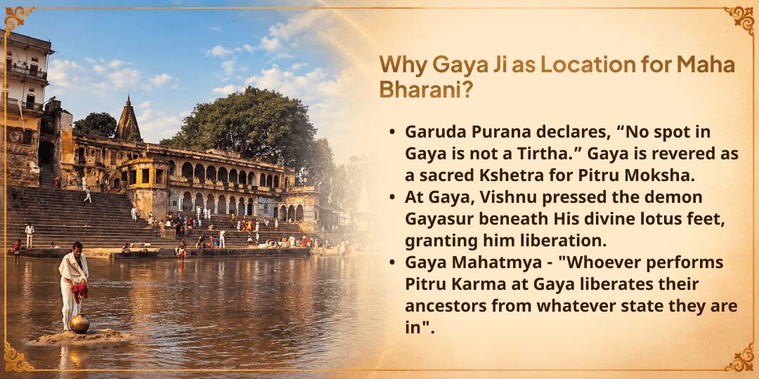 Maha Bharani Gaya Ji Phala Prapti Pitru Mukti Mahaseva 