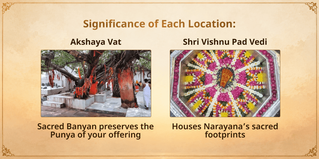 Maha Bharani Gaya Ji Phala Prapti Pitru Mukti Mahaseva 