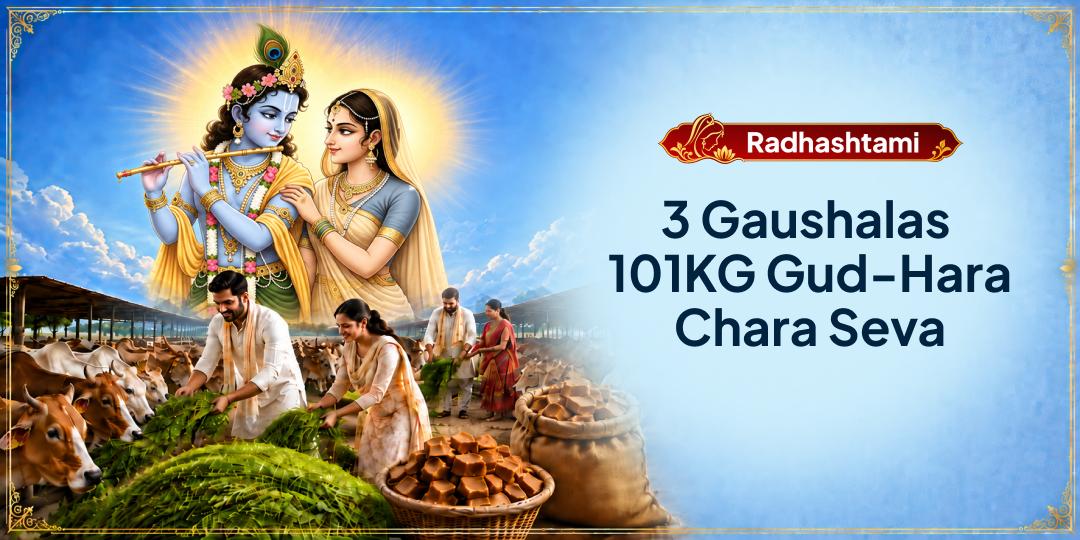 On Radhashtami, perform 101KG Gud-Hara Chara Mahaseva at 3 Sacred Gaushalas across India - Participate Now!