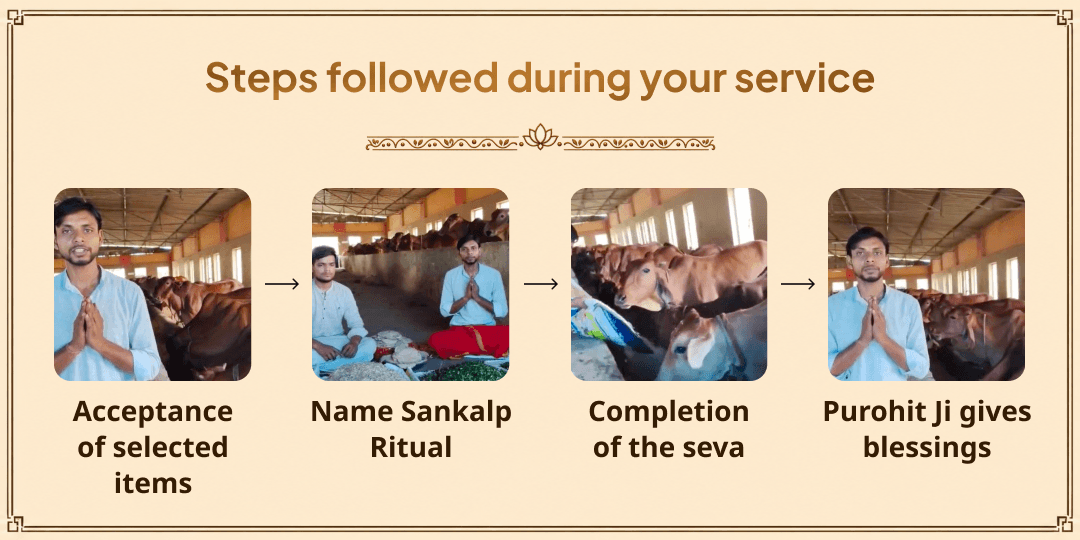 Pitru Paksha Shraddh 6 Tithis Gaya Ji Panchbali Seva for Ancestral Blessings 