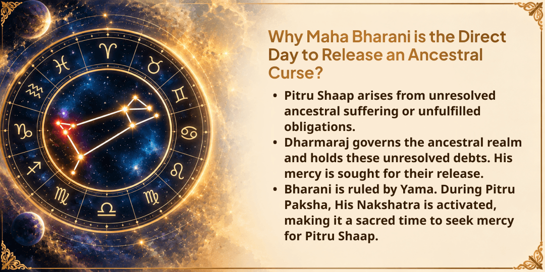 Maha Bharani Gaya Ji Pitru Shaap Mukti 21 Brahmins Seva 