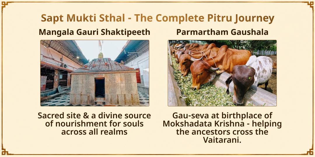 Mahalaya Sarva Pitru Amavasya Gaya Sapt Mukti Sthal Chadhava, Havan, Tarpan & Brahmin Seva