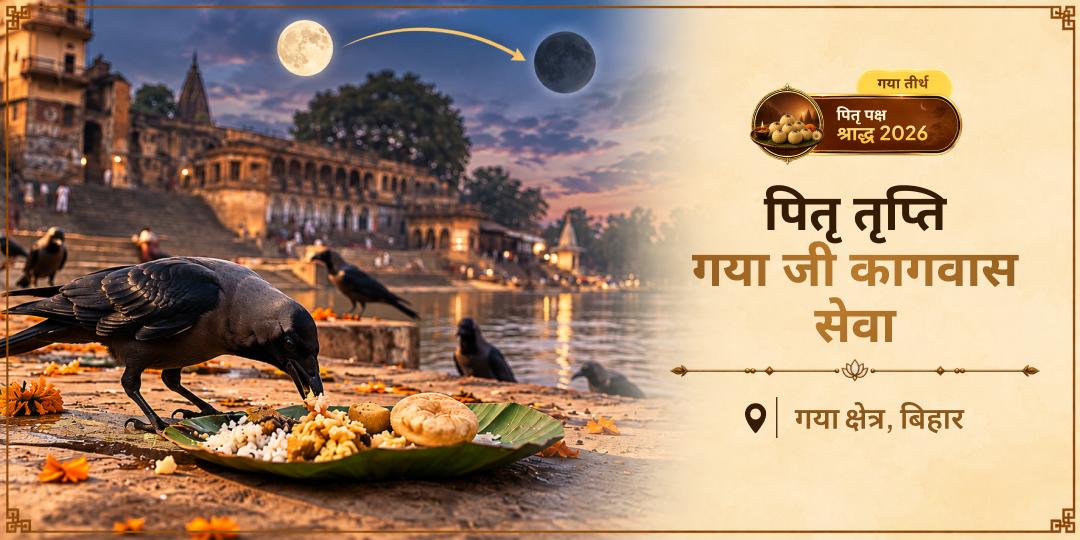 काक पितृ-दूत हैं, पितरों के प्रत्यक्ष संदेशवाहक। गया जी में कागवास सेवा करें, जहाँ सात पीढ़ियों के पितरों तक सेवा पहुँचने की मान्यता है!