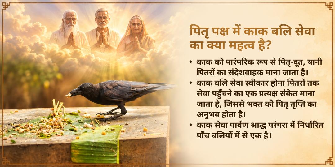पितृ पक्ष श्राद्ध पितृ तृप्ति गया जी कागवास (काक बलि) सेवा