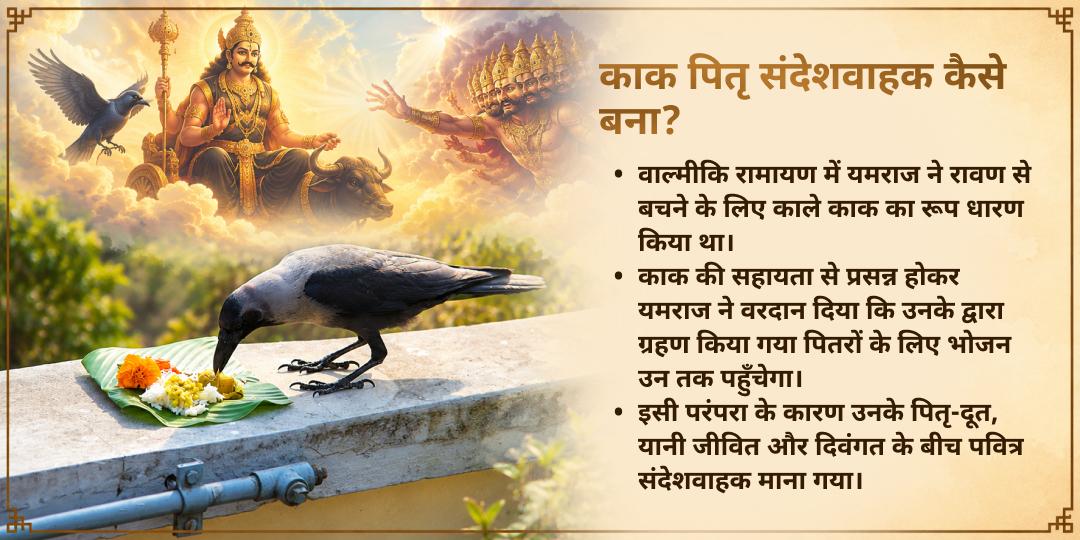 पितृ पक्ष श्राद्ध पितृ तृप्ति गया जी कागवास (काक बलि) सेवा