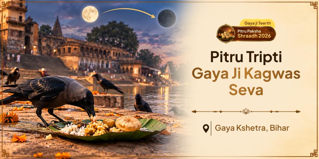Crow is Pitru-doot, the direct messenger of the ancestors. Perform Kagwas Seva at Gaya Ji, Where Every Offering Reaches Ancestors Across Seven Generations!