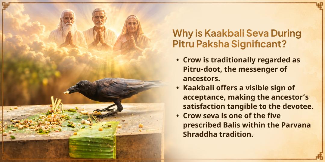 Pitru Paksha Shraddh Pitru Tripti Gaya Ji Kagwas Seva (Crows Seva)