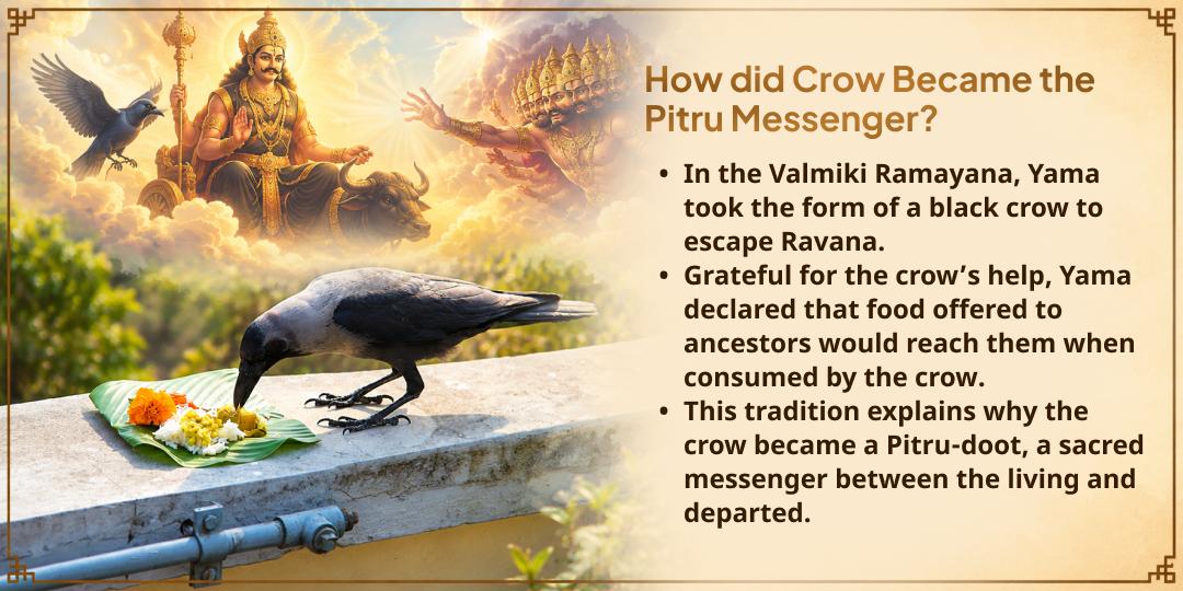 Pitru Paksha Shraddh Pitru Tripti Gaya Ji Kagwas Seva (Crows Seva)