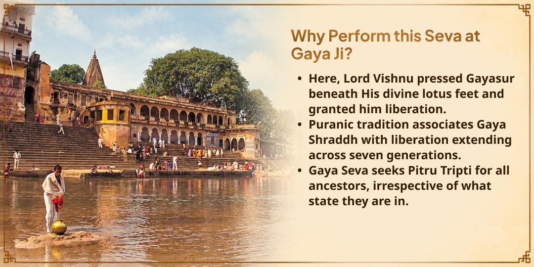 Pitru Paksha Shraddh Pitru Tripti Gaya Ji Kagwas Seva (Crows Seva)