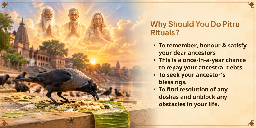 Pitru Paksha Shraddh Pitru Tripti Gaya Ji Kagwas Seva (Crows Seva)