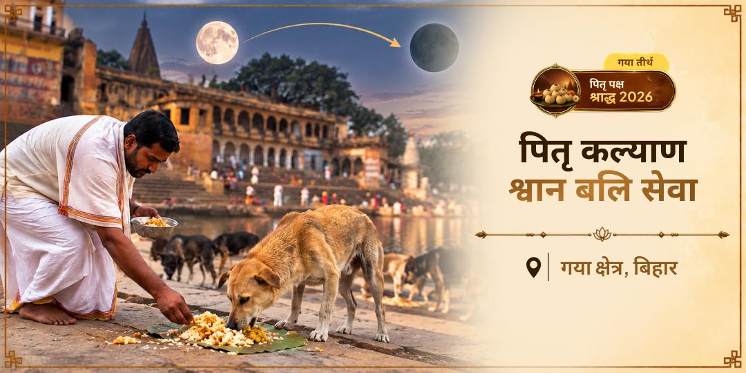 आपके पितर यम के कठिन मार्ग से गुजरते हैं। गया जी में श्वान सेवा करें, ताकि उनकी यात्रा अकेले न हो - अभी भाग लें!
