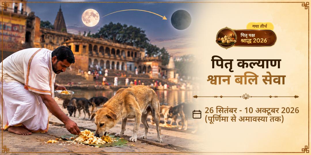 पितृ पक्ष श्राद्ध पितृ कल्याण श्वान बलि सेवा