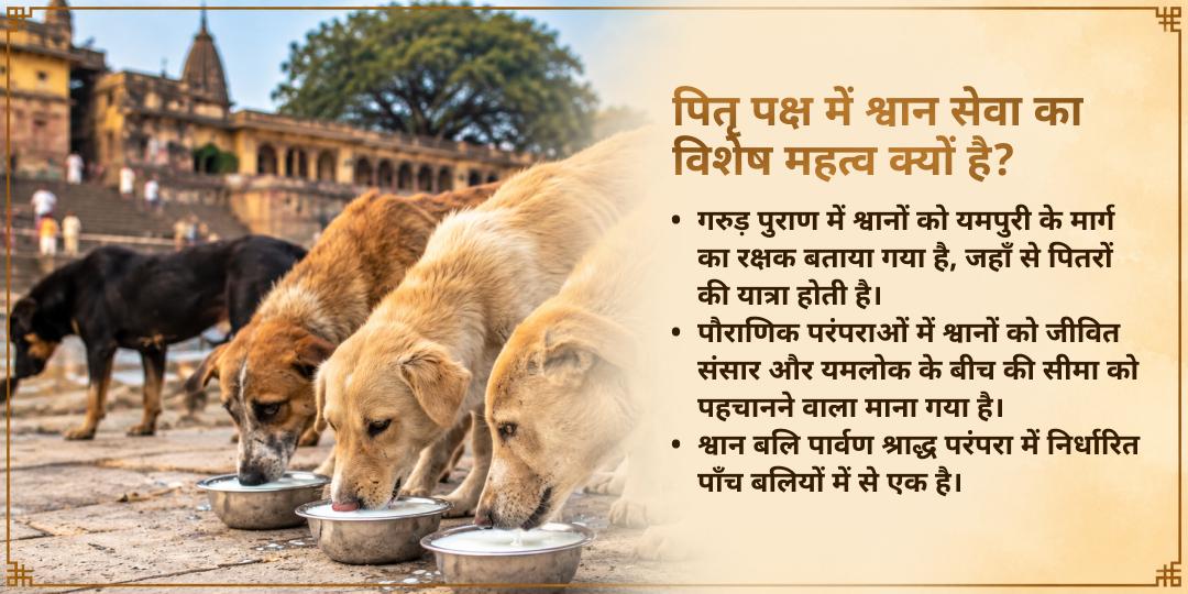 पितृ पक्ष श्राद्ध पितृ कल्याण श्वान बलि सेवा