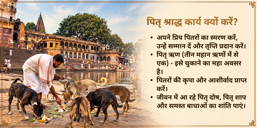 पितृ पक्ष श्राद्ध पितृ कल्याण श्वान बलि सेवा