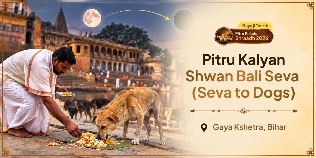 Your Ancestor Walks Yama's Path Which is Described as a Difficult One - Perform Shwan Seva at Gaya Ji to Ensure They Do Not Walk Alone!
