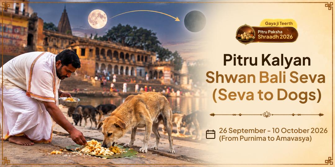 Pitru Paksha Shraddh Pitru Kalyan Shwan Bali Seva (Seva to Dogs)