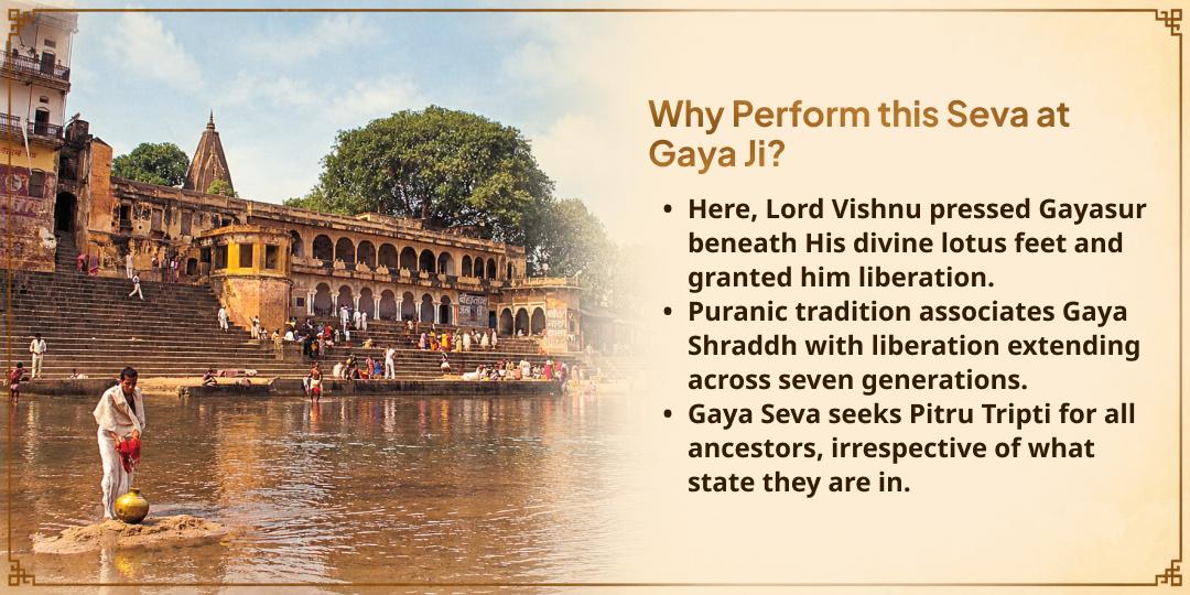 Pitru Paksha Shraddh Pitru Kalyan Shwan Bali Seva (Seva to Dogs)