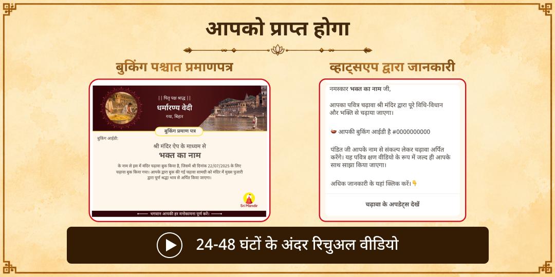 महा भरणी विशेष गया ज़रूरतमंद 101KG खिचड़ी भोजन सेवा | पितरों की स्मृति में