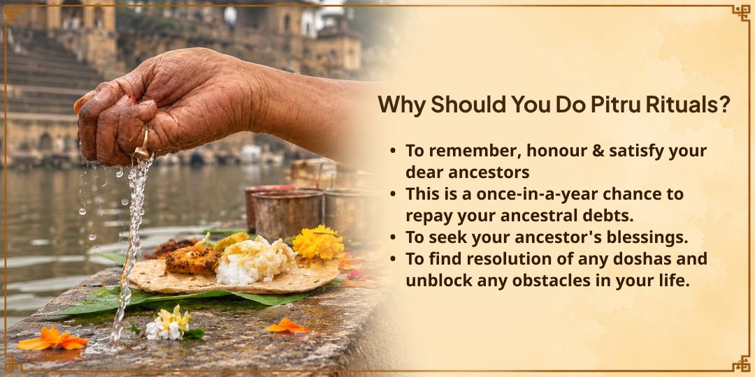 Maha Bharani Special Gaya 101KG Khichdi Bhojan Seva for Needy | In Memory of Your Ancestors