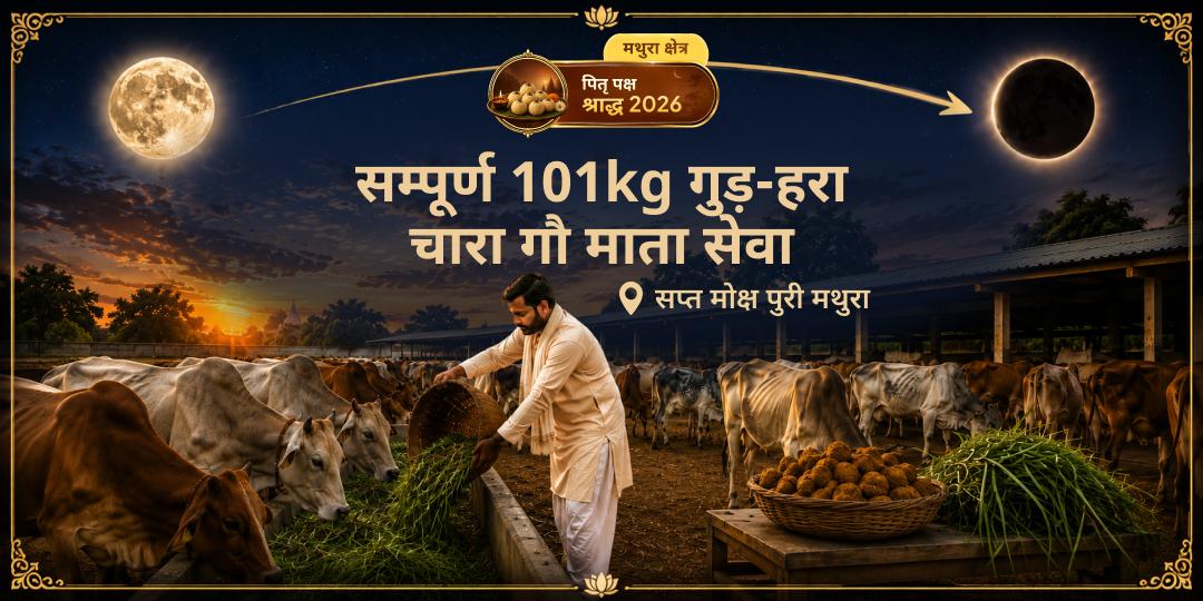 संपूर्ण पितृ पक्ष - मोक्ष तीर्थ मथुरा की गौशाला में प्रतिदिन 101 किलो गुड़-हरा-चारा गौ माता सेवा - अभी सहभागी बनें!