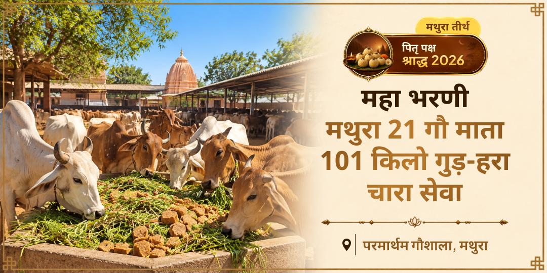 वैतरणी के पार पितरों की यात्रा में गौ माता का सहारा - श्री कृष्ण की जन्मभूमि मथुरा में 101KG गुड़-हरा चारा गौ सेवा करें!