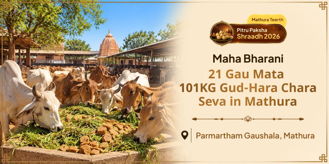 For the Journey Beyond Vaitarani, Let Gau Mata Be Their Support - Perform Gauseva in Mathura, the Birthplace of Shri Krishna!
