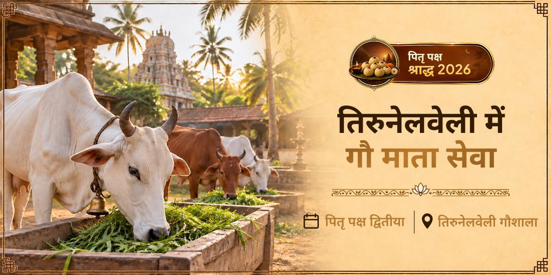 गौ माता की सेवा करें, ताकि आपके पूर्वज वैतरणी को सुरक्षित पार कर सकें — तिरुनेलवेली में गौ सेवा करें