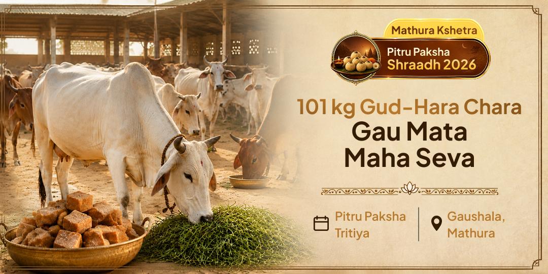 Join the 101 kg Gud-Hara-Chara Gau Mata Seva at the Gaushala of Mathura during Pitru Paksha - for Safe Vaitarni Crossing, Pitru Dosh Shanti and the Liberation of Your Ancestors!