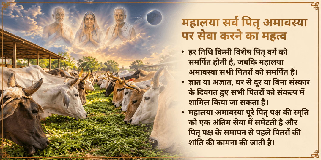 महालया सर्व पितृ अमावस्या 21 गौ माता सेवा पितरों के सुरक्षित वैतरणी पारगमन के लिए