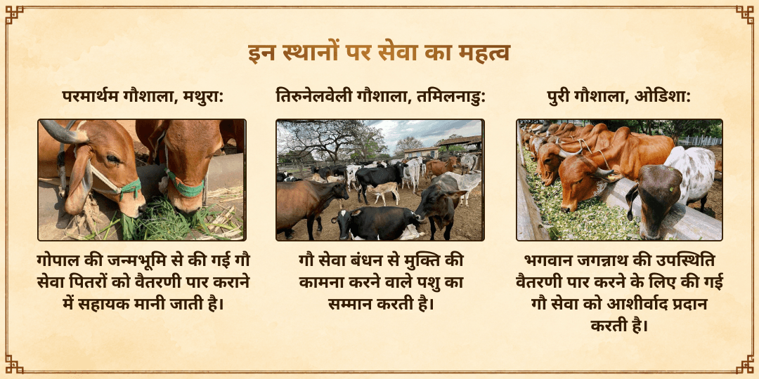 महालया सर्व पितृ अमावस्या 21 गौ माता सेवा पितरों के सुरक्षित वैतरणी पारगमन के लिए