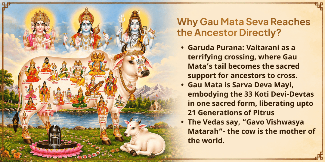 Mahalaya Sarv Pitru Amavasya 21 Gau Mata Seva for Ancestor's Safe Vaitarani Crossing