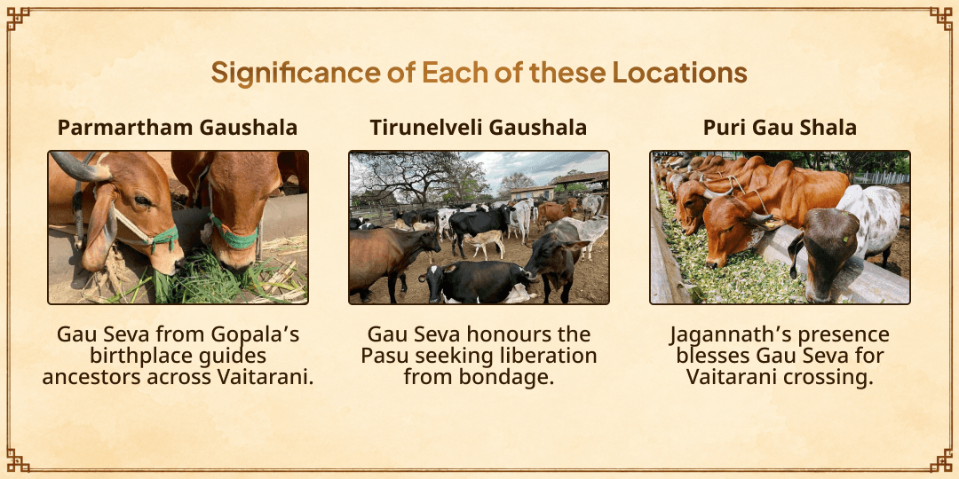 Mahalaya Sarv Pitru Amavasya 21 Gau Mata Seva for Ancestor's Safe Vaitarani Crossing