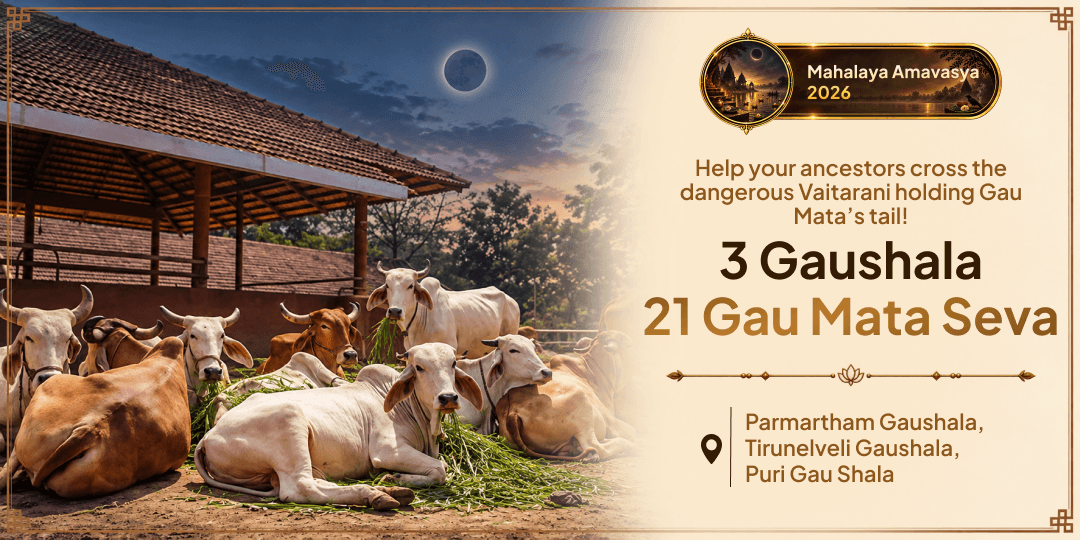 On the Last Day of Pitru Paksha, 21 Gau Mata Seva Across 3 Sacred Gaushalas Ensures Your Ancestor Does Not Cross Vaitarani Alone!