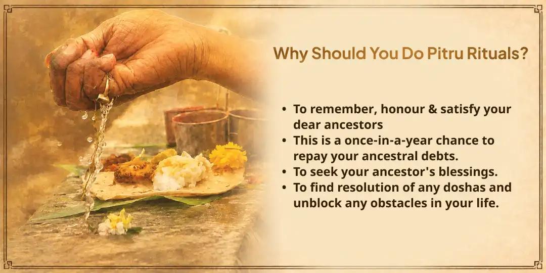 Mahalaya Pitru Amavasya Pitru Santushti 4 Teerth 101KG Khichdi Needy Seva
