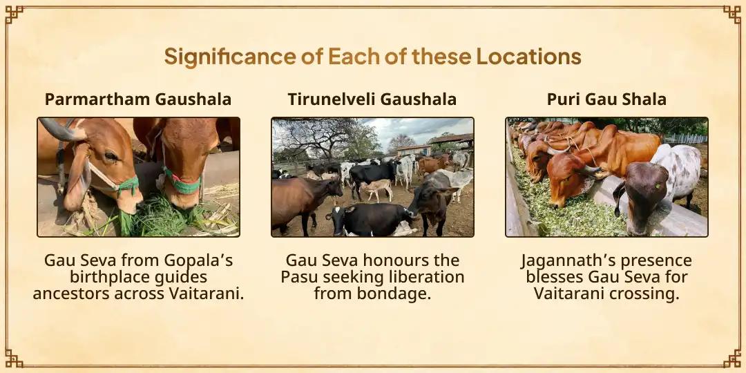 Mahalaya Sarv Pitru Amavasya 21 Gau Mata Seva for Ancestor's Safe Vaitarani Crossing