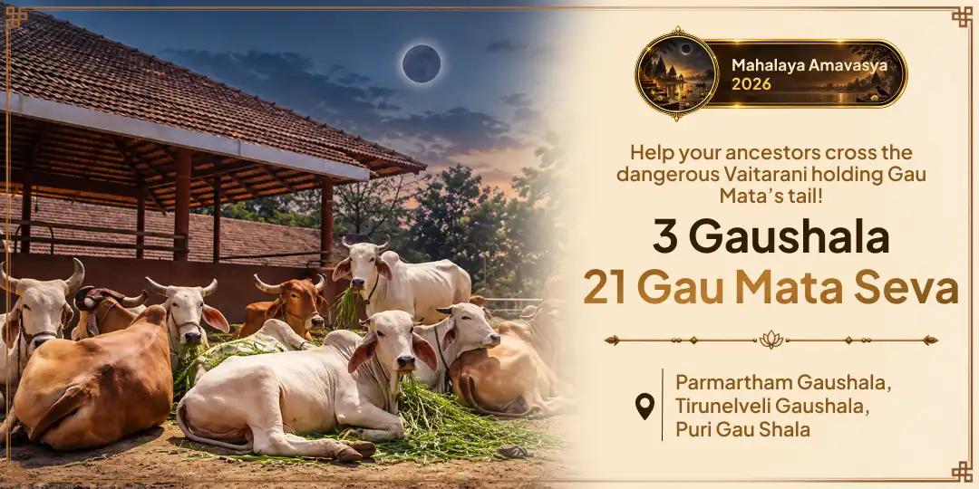On the Last Day of Pitru Paksha, 21 Gau Mata Seva Across 3 Sacred Gaushalas Ensures Your Ancestor Does Not Cross Vaitarani Alone!